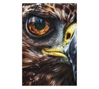 Puzzles pour Adolescents75x50cm/1000pcs Eagle Eye Close-Up Casse-têtes pour Adultes - Jeu De Réflexion - Défi Difficile pour Anniversaire, Noël 75x50cm/1000pcs