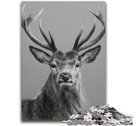 Puzzles pour Adultes 1000 Cerfs Convient aux 14 Ans et Plus Jeux familiaux Offrez des Cadeaux pour Toute la Famille 50x75cm