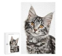 Puzzles pour Adultes 1000 PCS Adorable Tabby Kitten Close-Up Puzzle pour Adolescents Assemblage De Motifs Interaction Parent-Enfant Jeu Au Design Attrayant 1000 PCS