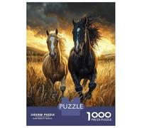 Puzzles pour Adultes 1000 Pièces 2 Horses Running in Field Puzzles pour Adolescents Anti-Stress Défi Éducatif Cadeaux De Noël Et d'anniversaire 38x26cm/1000pcs