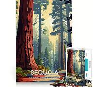 Puzzles pour Adultes 1000 pièces Affiche du Parc National de Sequoia Jeu d'ajustement précis Casse-tête Cadeau Moment de détente et de Divertissement Cadeau Artistique de Noël (38x52cm)