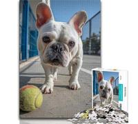 Puzzles pour Adultes 1000 pièces, Carlin Difficile Jouant au Tennis, Jouets éducatifs pour Enfants, Jeux familiaux, Jeu éducatif pour Anniversaire, Noël (75x50cm)