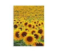 Puzzles pour Adultes 1000 pièces，Champ de tournesols，Puzzles pour Enfants Jouets Puzzles éducatifs Puzzle（38x26cm）-AQ76