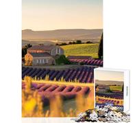 Puzzles pour Adultes 1000 pièces Champs de Lavande Décoration intérieure Jouet Cadeau d'anniversaire Jeu éducatif Entraînez Votre Cerveau et Votre dextérité Dimensions 38x52cm