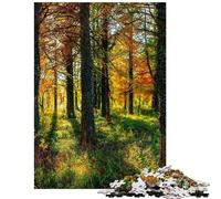 Puzzles pour Adultes 1000 pièces Coucher de Soleil d'automne en forêt Améliore la mémoire Stimule Le Cerveau Idéal comme Cadeau (38x26cm/1000 pièces)