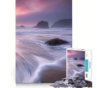 Puzzles pour Adultes 1000 pièces Coucher de Soleil paisible Vagues Jeu d'ajustement précis Casse-tête Cadeau Moment de détente et de Divertissement Cadeau Artistique de Noël (38x52cm)