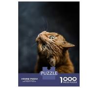 Puzzles pour Adultes 1000 Pièces Curious Ginger Cat Puzzle pour Adultes, Jeu De Réflexion, Cadeau d'anniversaire, Défi Éducatif 38x26cm/1000pcs