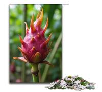 Puzzles pour Adultes 1000 pièces Dragon Fruit Orchard Puzzles Jeux Jouets Cadeau Convient pour la décoration de Bureau 1000 pièces (38 x 26 cm)