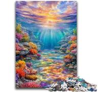 Puzzles pour Adultes 1000 pièces Galets colorés Jeu Stimulant Jouets à Offrir en Cadeau pour Toute la Famille à partir de 14 Ans 26x38cm