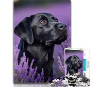 Puzzles pour Adultes 1000 pièces Lavande et Labrador, Jouets éducatifs pour la Famille, Jeu éducatif pour Anniversaire, Noël (75x50cm)