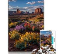 Puzzles pour Adultes 1000 pièces, Magnifique rivière de Montagne, pour Adultes, Un défi Difficile à relever, à Offrir à Toute la Famille (Taille 38x26cm)
