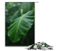 Puzzles pour Adultes 1000 pièces Motif Pluie sur Feuilles de bananier Assemblage Aide Le Cerveau à exercer Jouets addictifs pour cultiver la Patience 1000 pièces (38 x 26 cm)