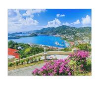 Puzzles pour Adultes 1000 Pièces，Panorama : Caraïbes, Saint-Thomas, Îles Vierges des États-Unis，Puzzles en Bois pour Adultes Décompression Jouets Puzzle,Puzzles Classiques（75x50cm）-U53