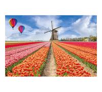 Puzzles pour Adultes 1000 pièces, Paysage lac, Animaux de Paysage Urbain défi Puzzles pour Adultes, adapté pour la décoration de la Maison et des Cadeaux.