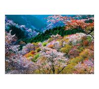 Puzzles pour Adultes 1000 pièces, Paysage lac, Animaux de Paysage Urbain défi Puzzles pour Adultes, adapté pour la décoration de la Maison et des Cadeaux.