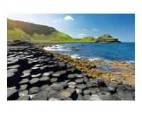 Puzzles pour Adultes 1000 pièces, Paysage lac, Animaux de Paysage Urbain défi Puzzles pour Adultes, adapté pour la décoration de la Maison et des Cadeaux.