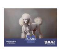 Puzzles pour Adultes 1000 Pièces Poodle Puzzle Adulte Jeux Amusants Analyse Et Logique Idéal comme Cadeau pour Toute La Famille 38x26cm/1000pcs