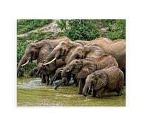 Puzzles pour Adultes 1000 Pièces Puzzle en Papier，Éléphants，Impossible Puzzle Brain Challenge ， Convient pour La Décoration De La Maison（38x26cm）-BB9