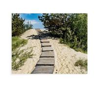 Puzzles pour Adultes 1000 Pièces Puzzles，Ascension vers la Hohen Düne (Dune Haute)，Jeu De Puzzle 1000 Pièces（75x50cm）-AW66