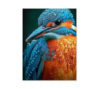 Puzzles pour Adultes, 1000 Pièces Puzzles，Martin-pêcheur，Jeu De Puzzle Oeuvre pour Adultes Adolescents Jouant À La Maison Divertissement Jouets Décor À La Maison（75x50cm）-F37