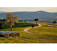 Puzzles pour Adultes 1000 pièces Puzzles pour Adultes Idées Cadeaux Paysages naturels, Routes, Champs, collines, Italie 50 x 70 cm