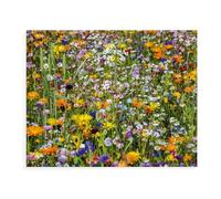 Puzzles pour Adultes 1000 Pièces Puzzles，Tulipes ou Fleurs de Cerisier，Jeu De Puzzle 1000 Pièces（38x26cm）-BB46