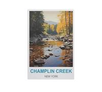 Puzzles pour Adultes 1000 Pièces,Ruisseau Champlin, New York,Décompression Amusant Puzzle Intellectuel Jeu De Puzzle Jouets Cadeau pour Adultes Enfants Familles(50x70cm)-GG66