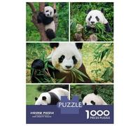Puzzles pour Adultes 1000 Pièces Whimsical Black Cat Portrait Puzzles pour Adultes Jeu De Réflexion Et De Logique Activités Amusantes À La Maison, 38x26cm/1000pcs