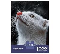 Puzzles pour Adultes 1000 Pièces White Ferret Looking Up in Rain Puzzle pour Adultes Jeu De Réflexion Une Œuvre d'art Activités Amusantes À La Maison 38x26cm/1000pcs