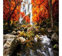 Puzzles pour adultes 1500 pièces bois et cascades Puzzles 1500 pièces pour adultes grand jeu de puzzle jouets cadeau 87,5 × 57,5 cm