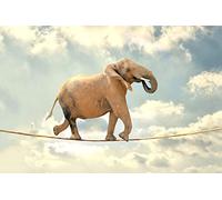 Puzzles pour Adultes 1500 PièCes Puzzles Éléphant sur Une Corde en Bois Puzzle Hands on Game Famille DéCoration (F5, 1500 pièces)