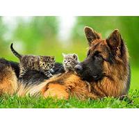 Puzzles pour Adultes, 2000 pièces, Lévrier et Chaton, Puzzle pour Adultes, Jeu éducatif - Puzzles familiaux stimulants pour Le Plaisir 70x100CM