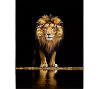 Puzzles pour Adultes 2000 pièces - Lion au Bord de l'eau Puzzle pour Enfants, Adolescents et aînés Puzzle défi Familial avec Lettres au Dos - 2000 pièces (70x100cm)
