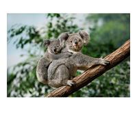 Puzzles pour Adultes 2000 pièces, Paysage lac, Animaux de Paysage Urbain défi Puzzles pour Adultes, adapté pour la décoration de la Maison et des Cadeaux.