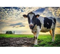 Puzzles pour Adultes, 2000 pièces, Puzzle Adulte Vache dans la Prairie, Jeu éducatif - Puzzles familiaux stimulants pour Le Plaisir 70x100CM