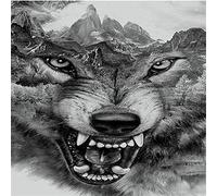 Puzzles pour Adultes 2000 pièces Puzzles Loup et Montagne Puzzle Puzzles 2000 pièces pour Adultes Jeu éducatif intellectuel Apprentissage Jouets de décompression pour Adultes Kid-70x100cm