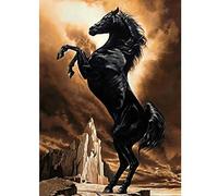 Puzzles pour adultes 2000 pièces | Puzzles superbes 2000 pièces pour adultes Cheval noir debout | Puzzles 2000 pièces difficiles et parfaitement coupés pour adultes 70x100cm