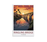 Puzzles pour Adultes 2000 Ring Bridge Florida 2000 pièces Impossible Puzzle pour Adultes Jeux éducatifs 70x100 cm