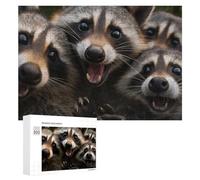 Puzzles pour Adultes 300 PCS Puzzles Raccoon Pile-Up Cute Faces! Puzzles pour Adolescents Jeu Manuel Décoration Parfaite Cadeaux d'anniversaire Et Cadeaux Uniques 300 PCS