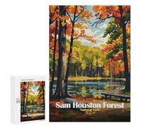 Puzzles pour Adultes 300 PCS Puzzles Sam Houston Forest National Park Puzzle pour Adultes - Décoration Murale - Idéal pour Les Parents Et Les Enfants 300 PCS