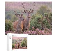 Puzzles pour Adultes 300 PCS Two Red Deer in A Field Puzzles pour Adultes - Décoration Murale - Décoration Parfaite - Défi À Relever 300 PCS