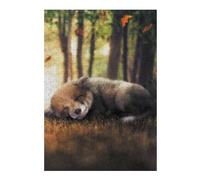 Puzzles pour Adultes 38x26cm/1000pcs The Sleeping Fox Cub Puzzles pour Adultes - Jeu De Réflexion - Difficile - Stimulant - Idée Cadeau 38x26cm/1000pcs