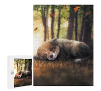 Puzzles pour Adultes 500 PCS Puzzles The Sleeping Fox Cub Puzzles pour Adultes - Décoration Murale - Difficile - Stimule Le Cerveau 500 PCS