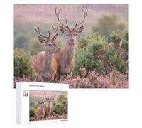 Puzzles pour Adultes 500 PCS Puzzles Two Red Deer in A Field Puzzles pour Adolescents Jeu Pratique Course De Vitesse Interaction Parent-Enfant 500 PCS