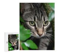 Puzzles pour Adultes 500 PCS Tabby Cat Peeking Through Greenery Puzzle pour Adultes, Jeu De Réflexion, Décoration Murale, Cadeau d'anniversaire, Cadeaux, 500 PCS