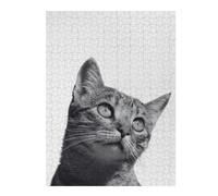 Puzzles pour Adultes 52x38cm/1000pcs Puzzles Cat Kitten Animals Puzzles pour Adolescents Jeux De Société Découpe De Précision Cadeaux d'anniversaire Et Cadeaux Uniques 52x38cm/1000pcs