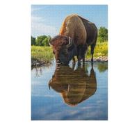 Puzzles pour Adultes 75x50cm/1000pcs Bison Drinking from Pond Wildlife Photo Puzzle pour Adultes - Décoration Murale - Découpe De Précision - Activités Ludiques À La Maison 75x50cm/1000pcs