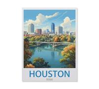 Puzzles pour Adultes Enfants 1000 Pièces Puzzle，Houston, Texas，Jeu De Puzzle Difficile（75x50cm）-EH57