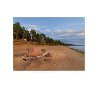 Puzzles pour Adultes Enfants 1000 Pièces Puzzle，Les États baltes/The Baltic States，Jeu De Puzzle Difficile（50x70cm）-AY16