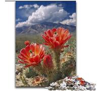 Puzzles pour Adultes et Adolescents 1000 pièces Highland Poppy, Jeu intellectuel pour développer l'amour Entre Couples à partir de 14 Ans 26x38cm